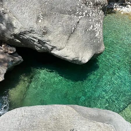 Villa L'alivu Di Venaco (Corsica)