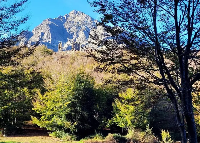 L'alivu Di Villa
