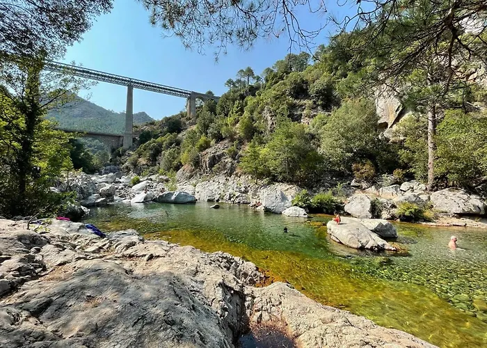 L'alivu Di *