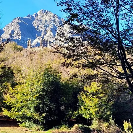 L'alivu Di Villa
