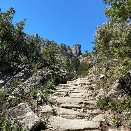 Villa L'alivu Di Venaco (Corsica)
