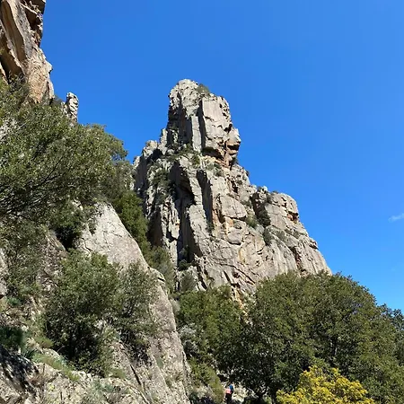 L'alivu Di *
