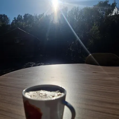 L'alivu Di Venaco (Corsica)
