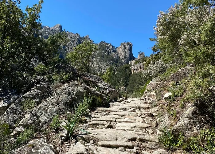 Villa L'alivu Di Venaco (Corsica)