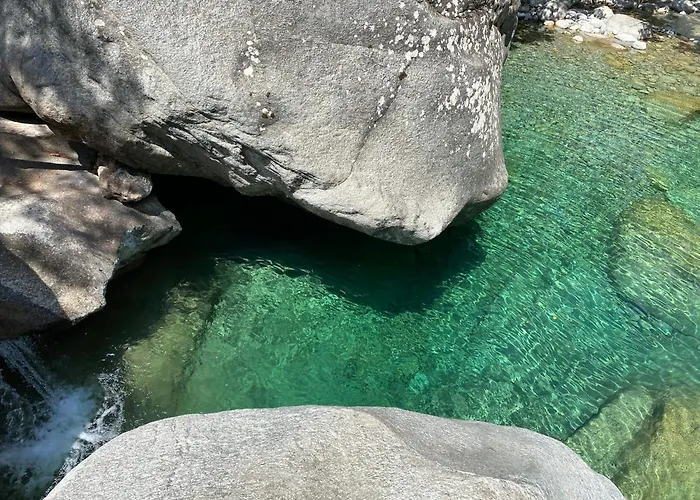 Villa L'alivu Di Venaco (Corsica)