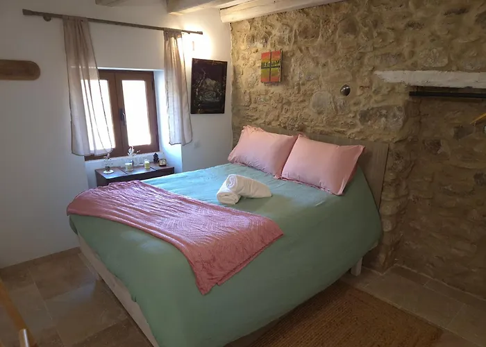 Villa L'alivu Di Venaco (Corsica)